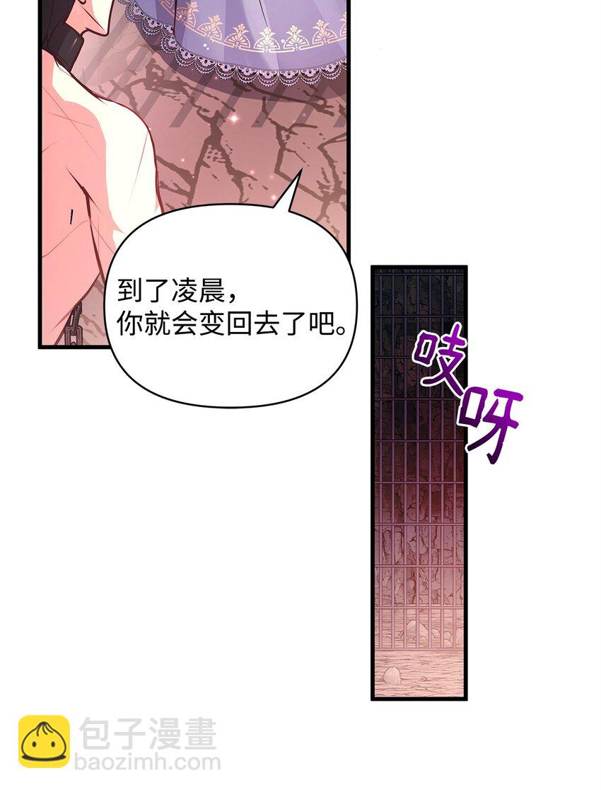 11 听话的大猫51