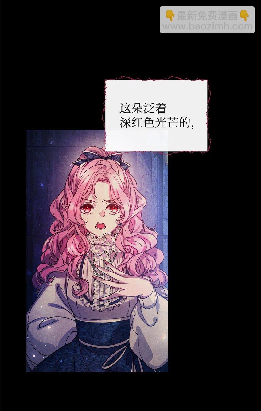 11 听话的大猫74