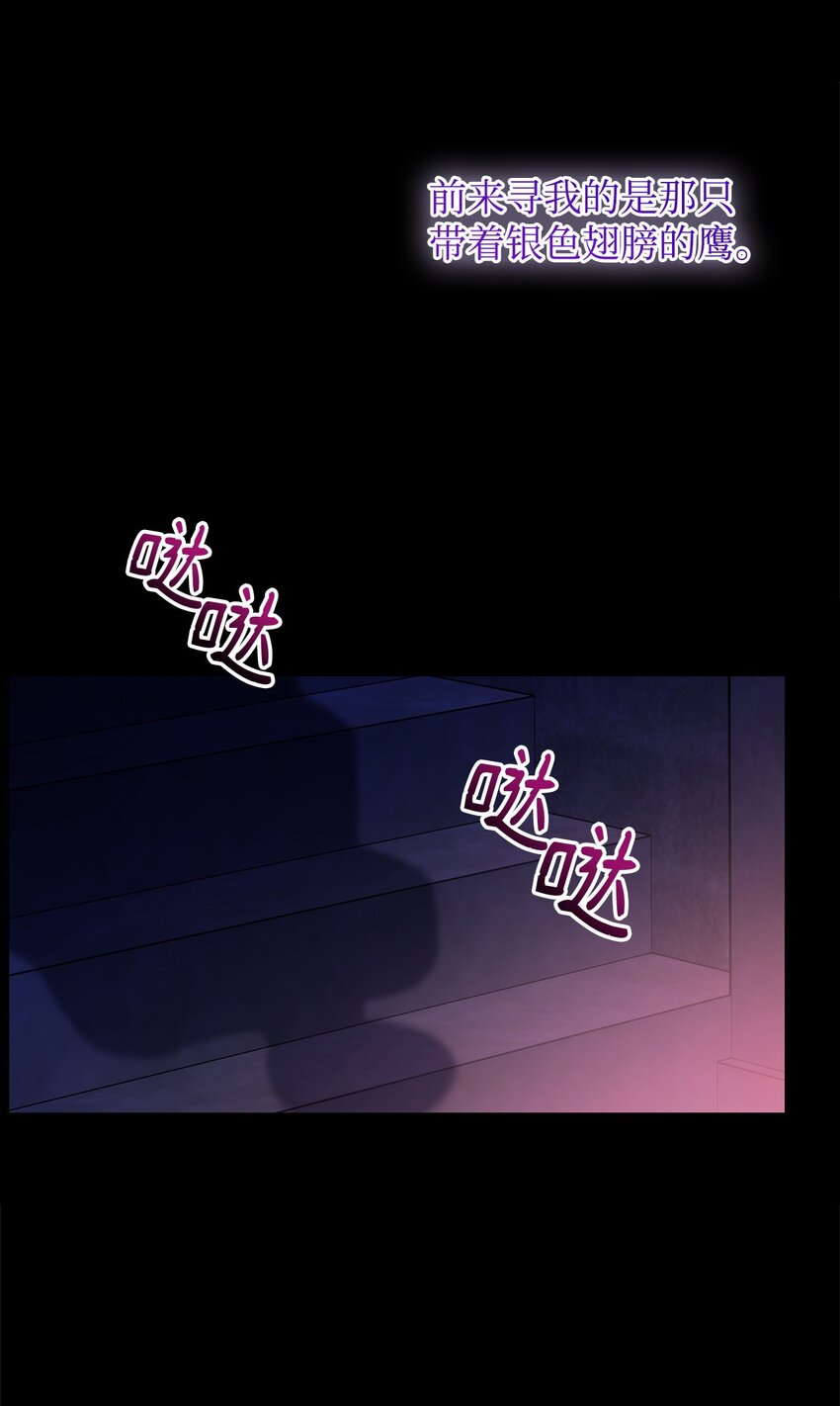 11 听话的大猫78
