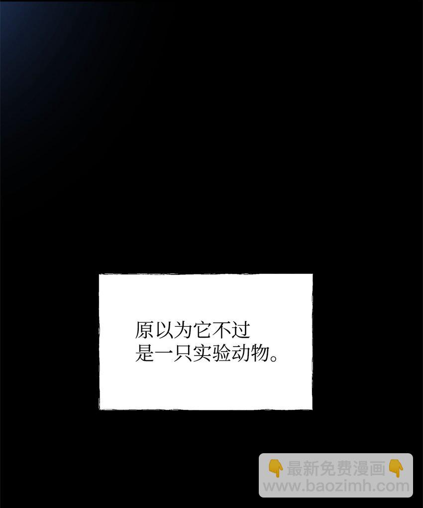 12 深夜对峙8