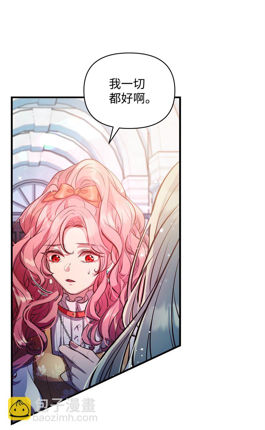 13 实验动物的来源24