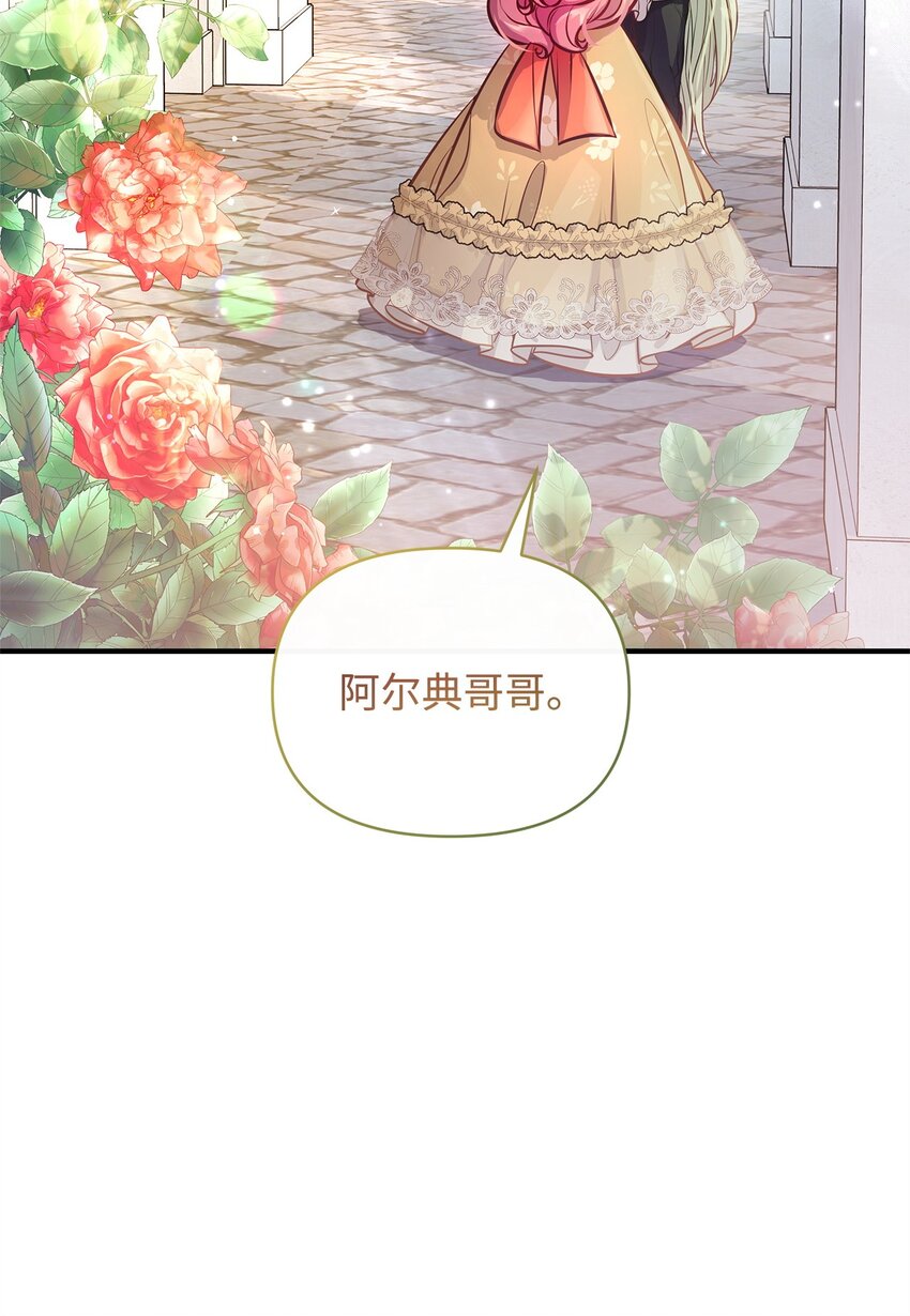 13 实验动物的来源38