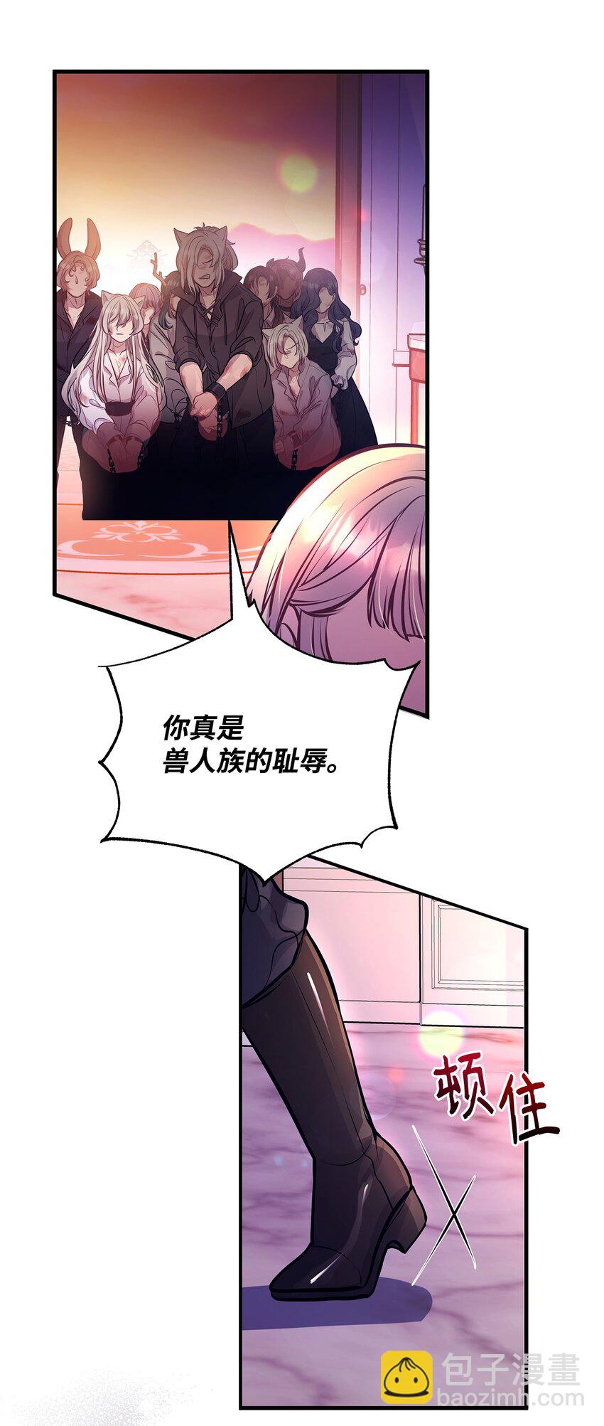 13 实验动物的来源48