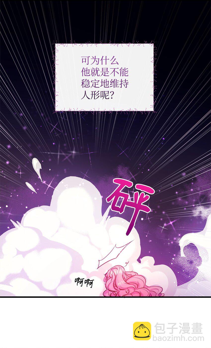 13 实验动物的来源6