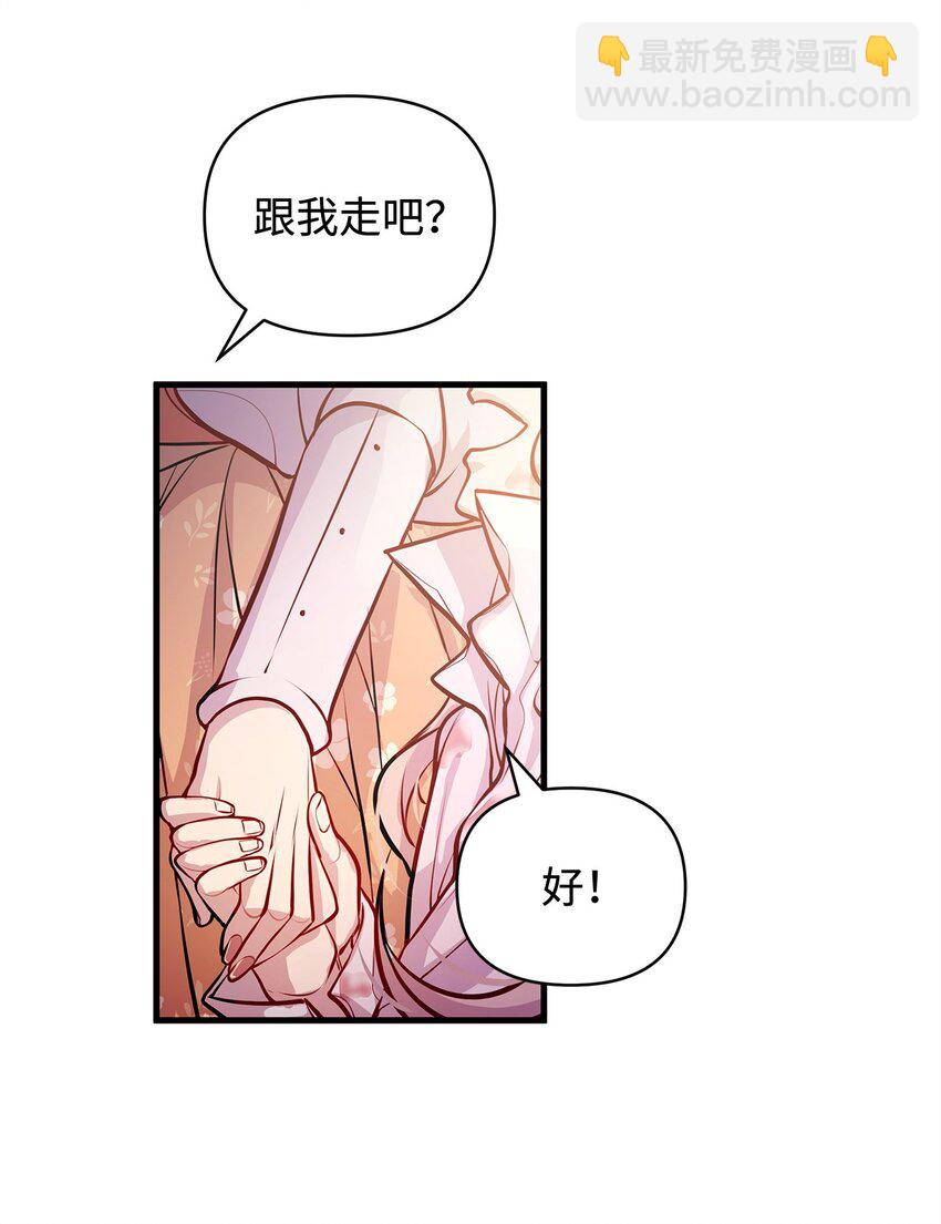13 实验动物的来源66