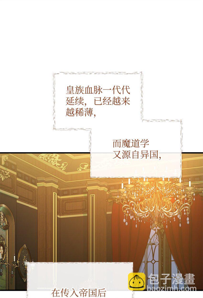 28 意料之外的相遇66
