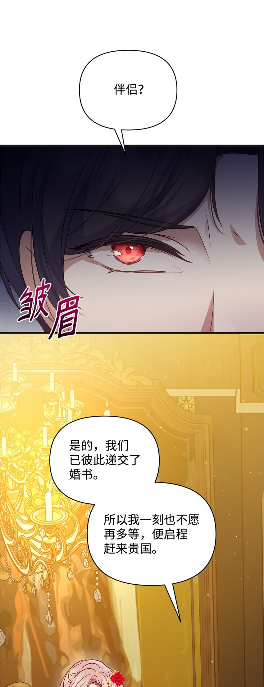 29 未婚夫登场41