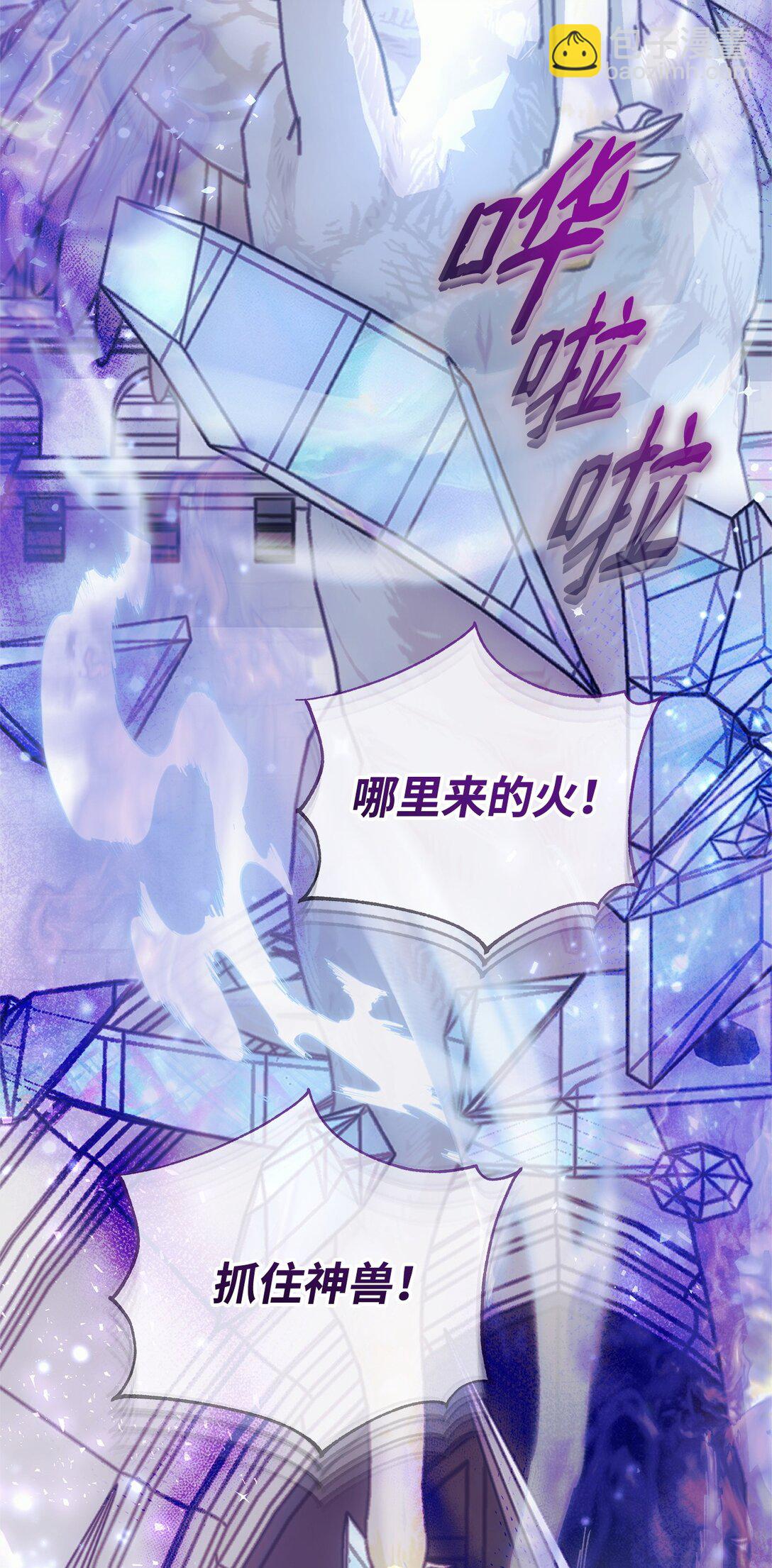 52 行动当天42