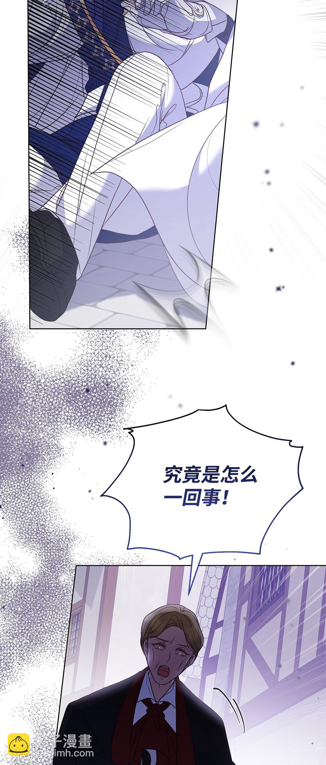 52 行动当天64