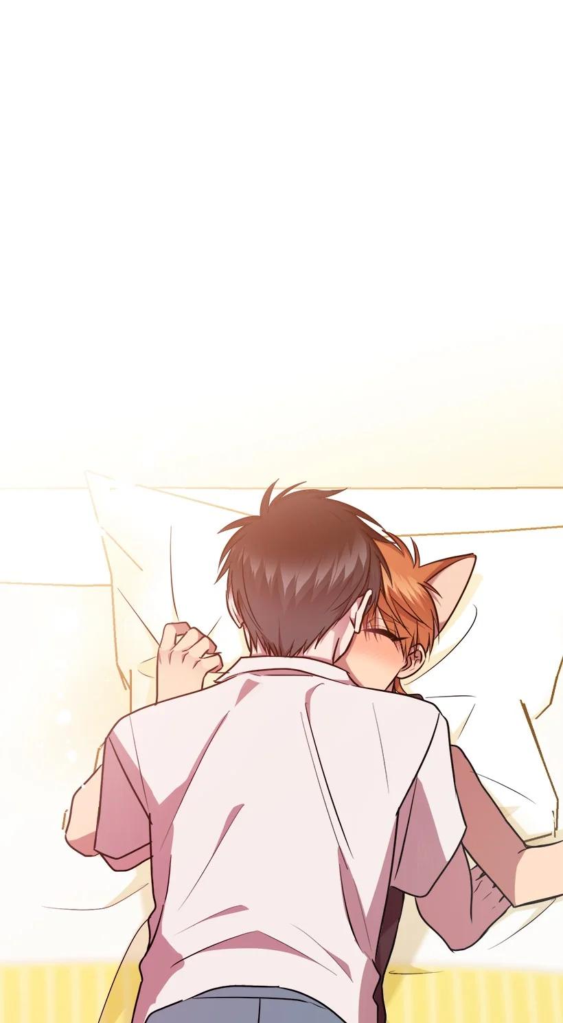 56 来吧47