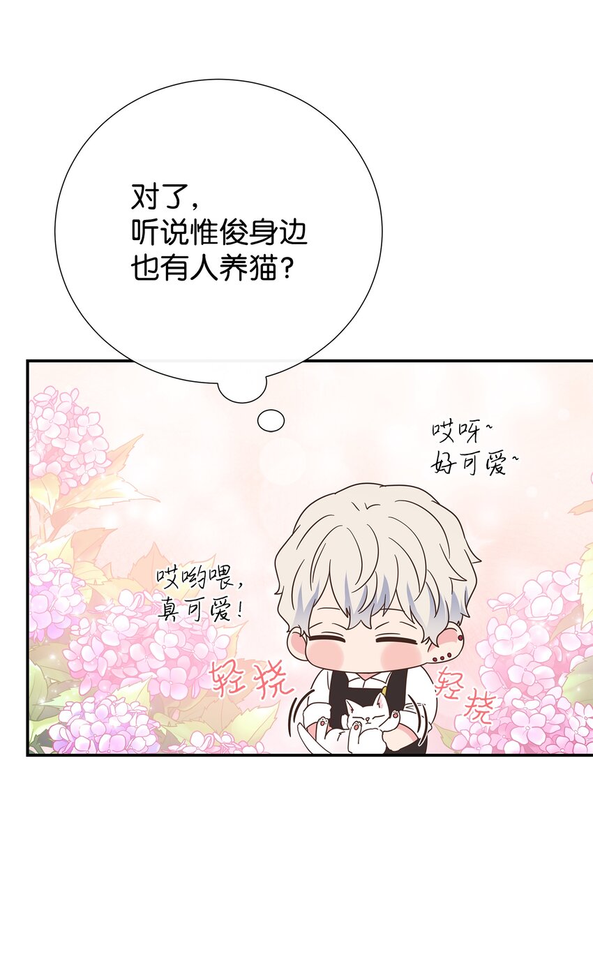 22 男朋友的惊喜63