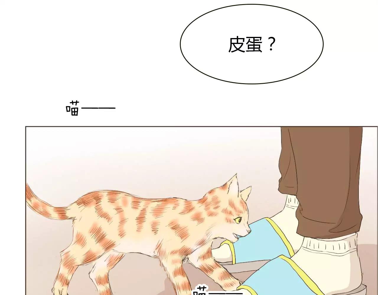 第14话 见家长？26