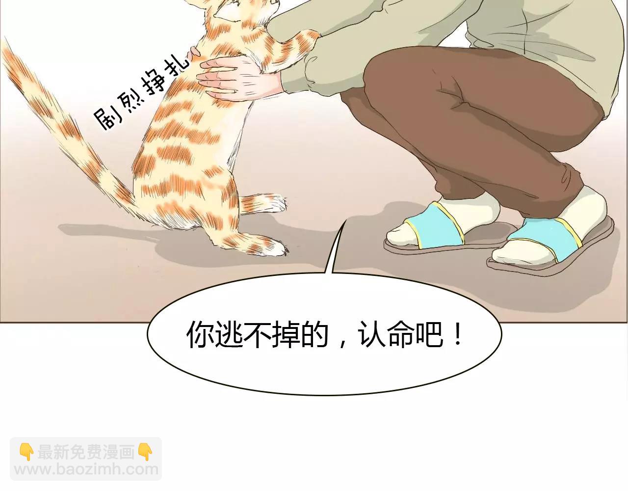 第14话 见家长？38