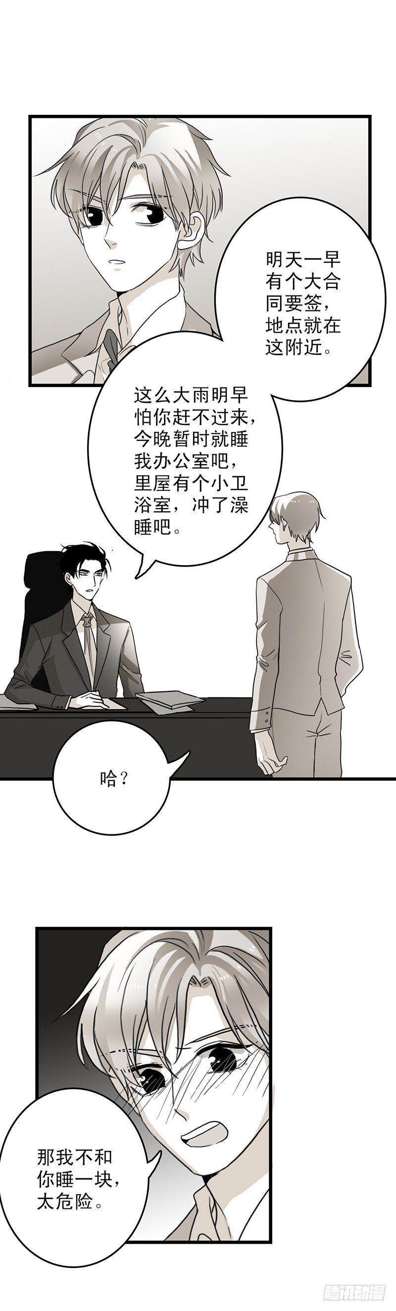 照片6