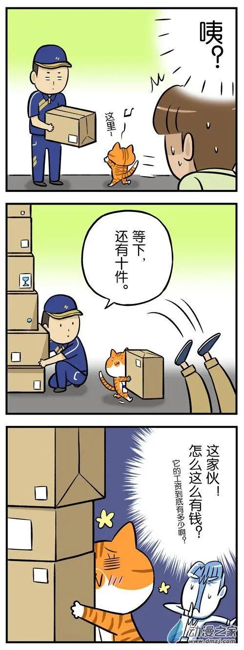 第21回 过个双11，购物车全是猫的2
