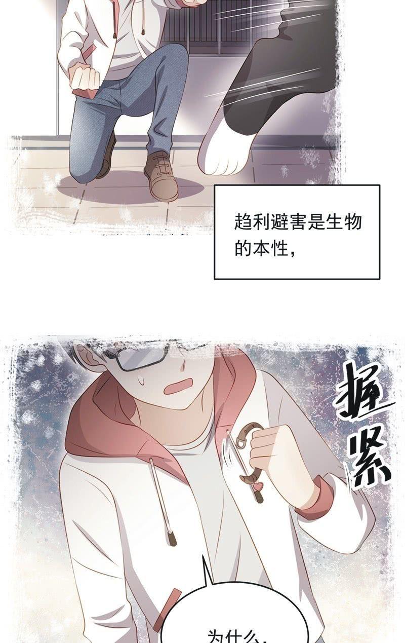 第八十四话3