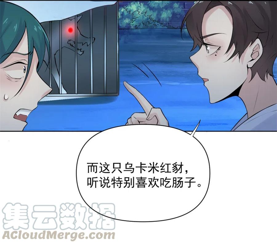 39.动物园惊魂？！20