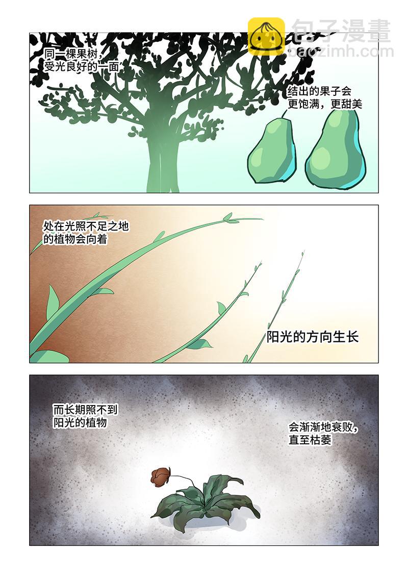 17.真正的噩梦？2