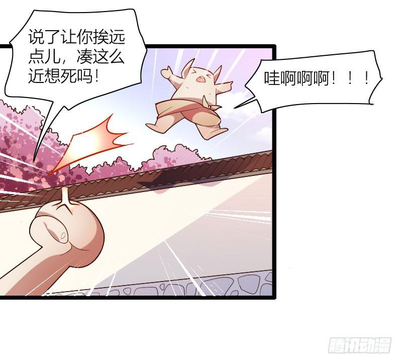 039 满园春色65