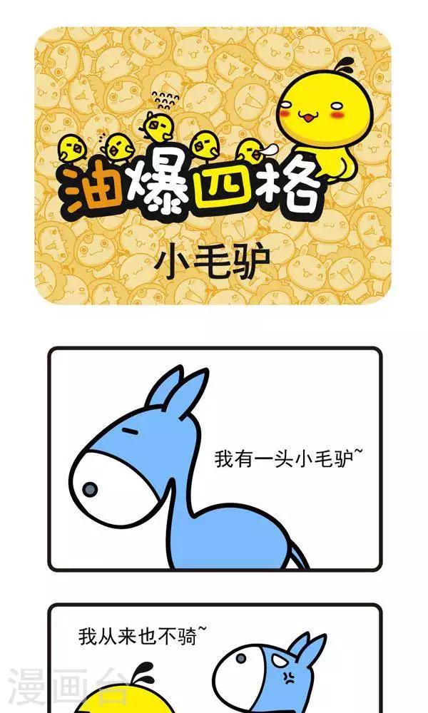 第50话 小毛驴0