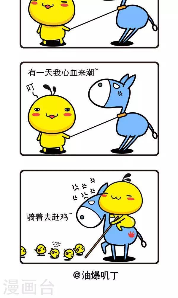 第50话 小毛驴1