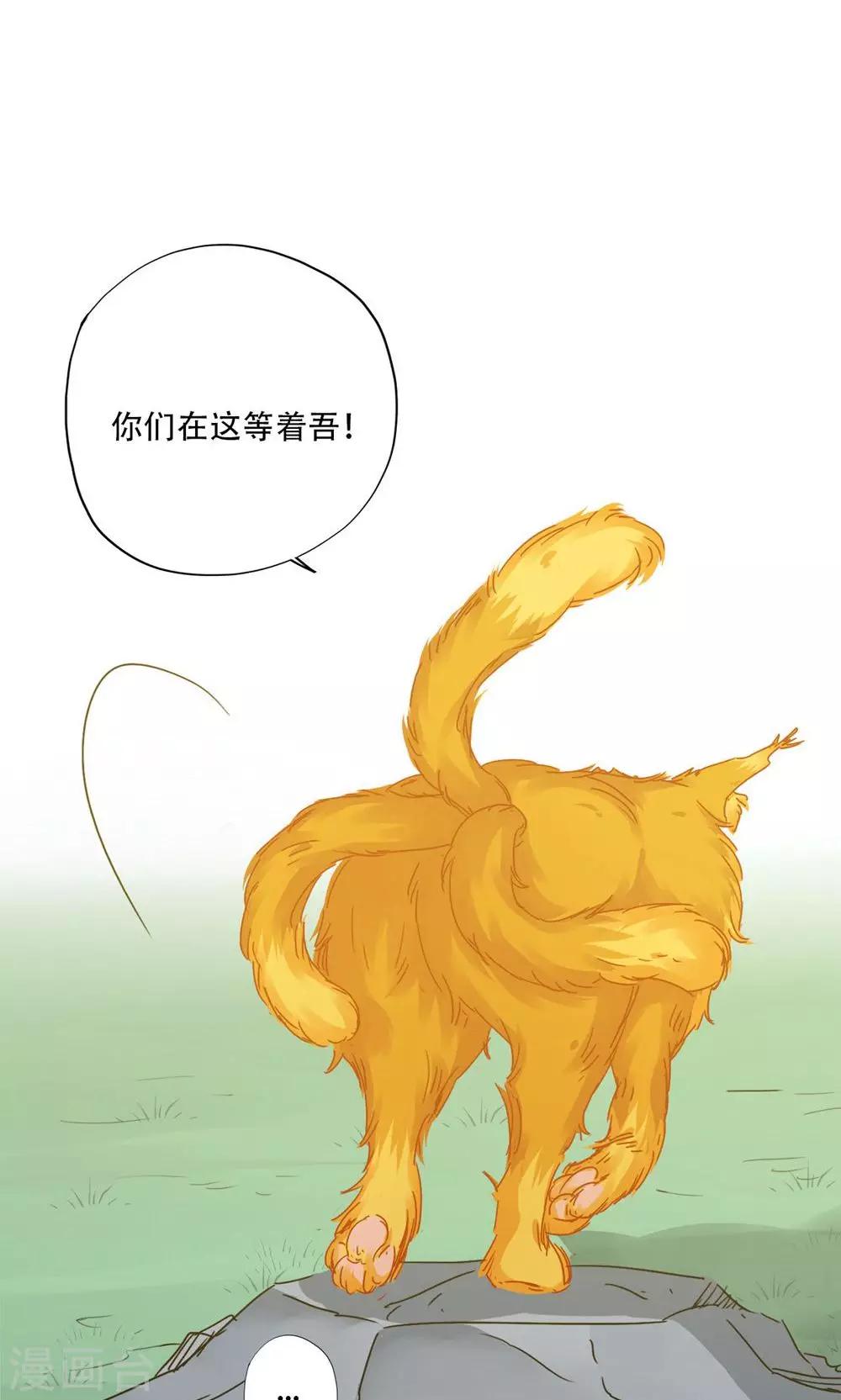 第95话4