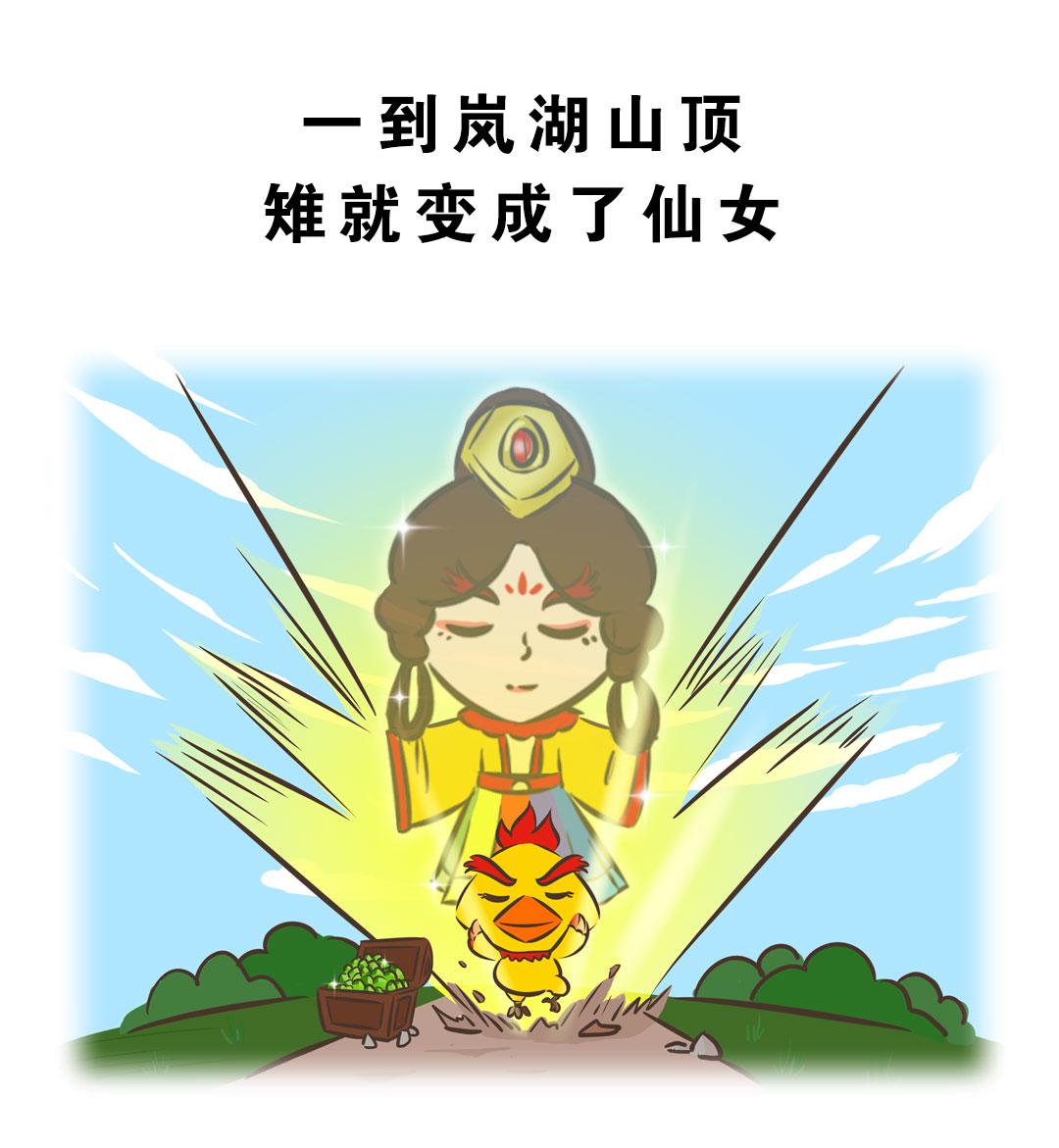 岚湖山茶传说11