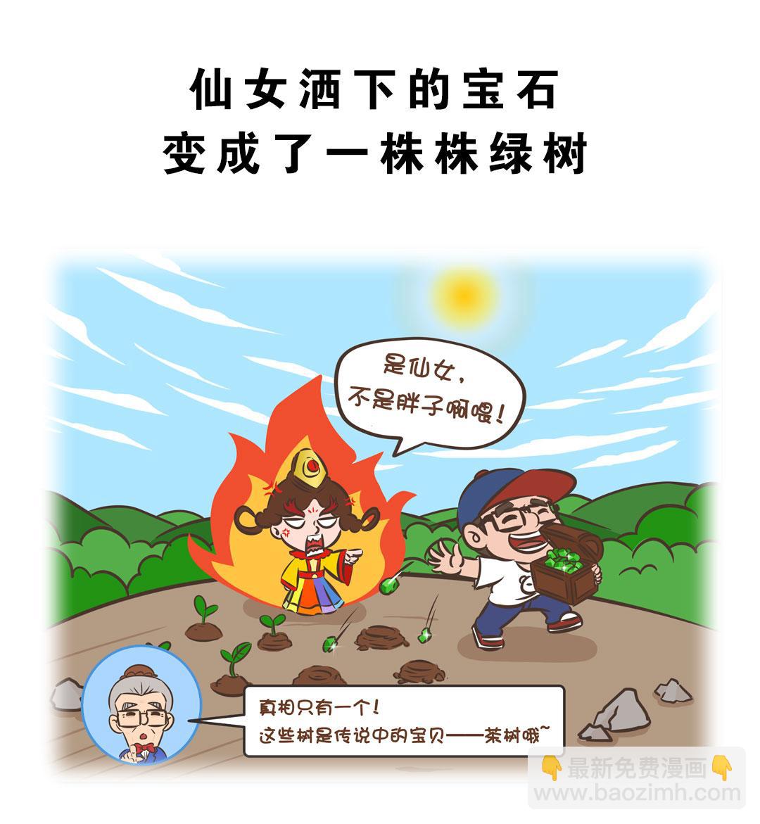 岚湖山茶传说12