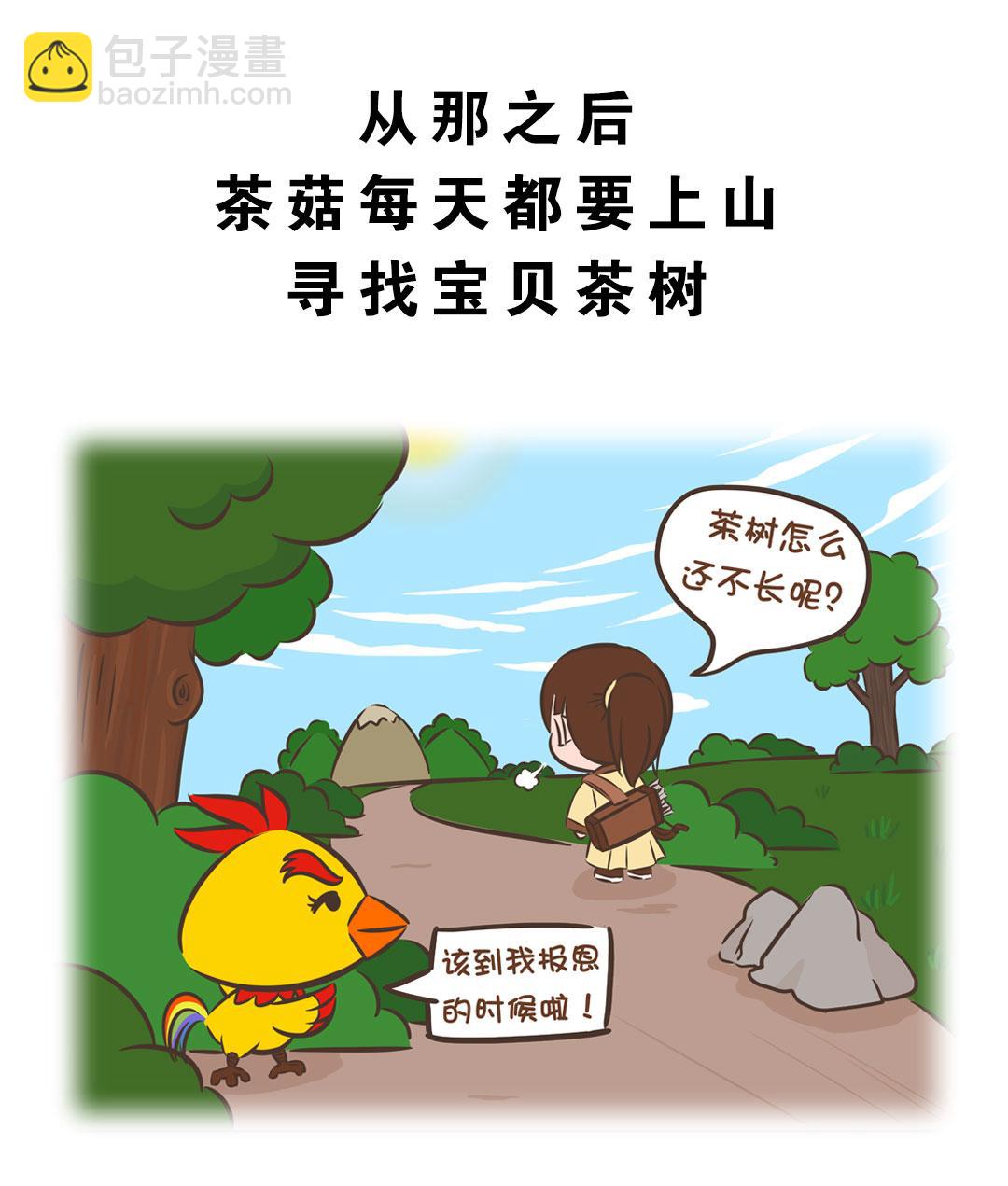 岚湖山茶传说13