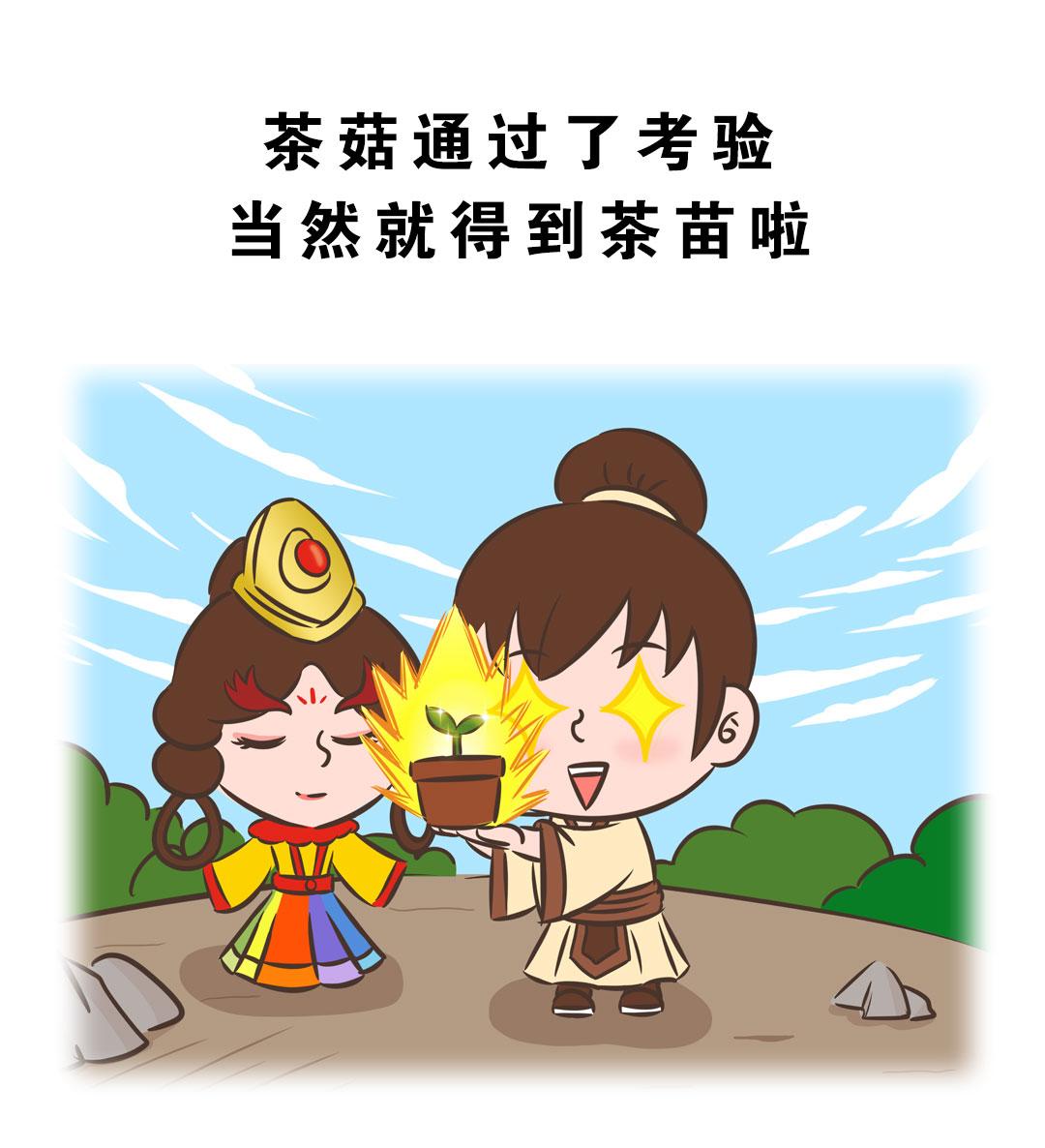 岚湖山茶传说20