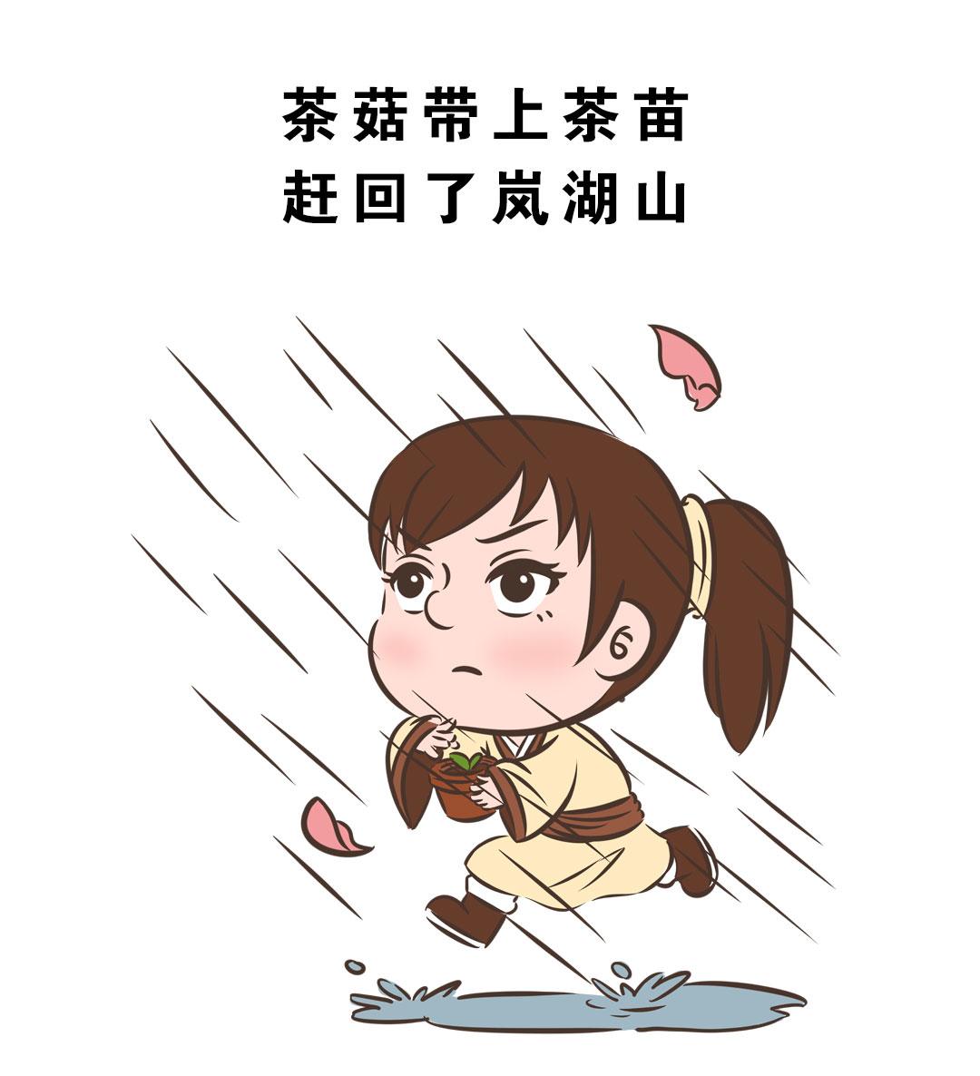 岚湖山茶传说21