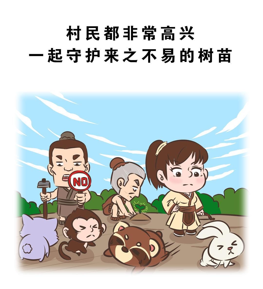 岚湖山茶传说22
