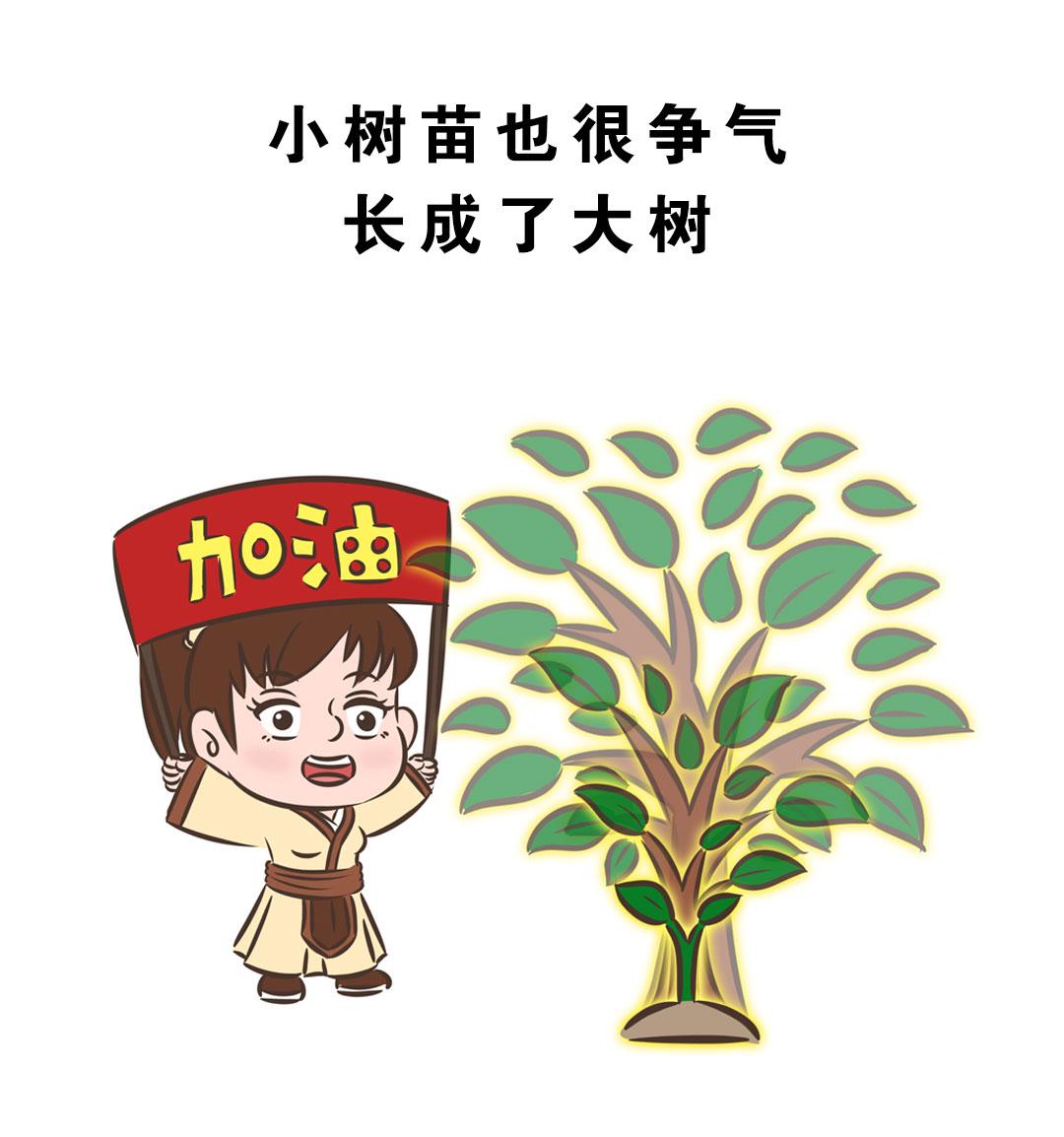 岚湖山茶传说23