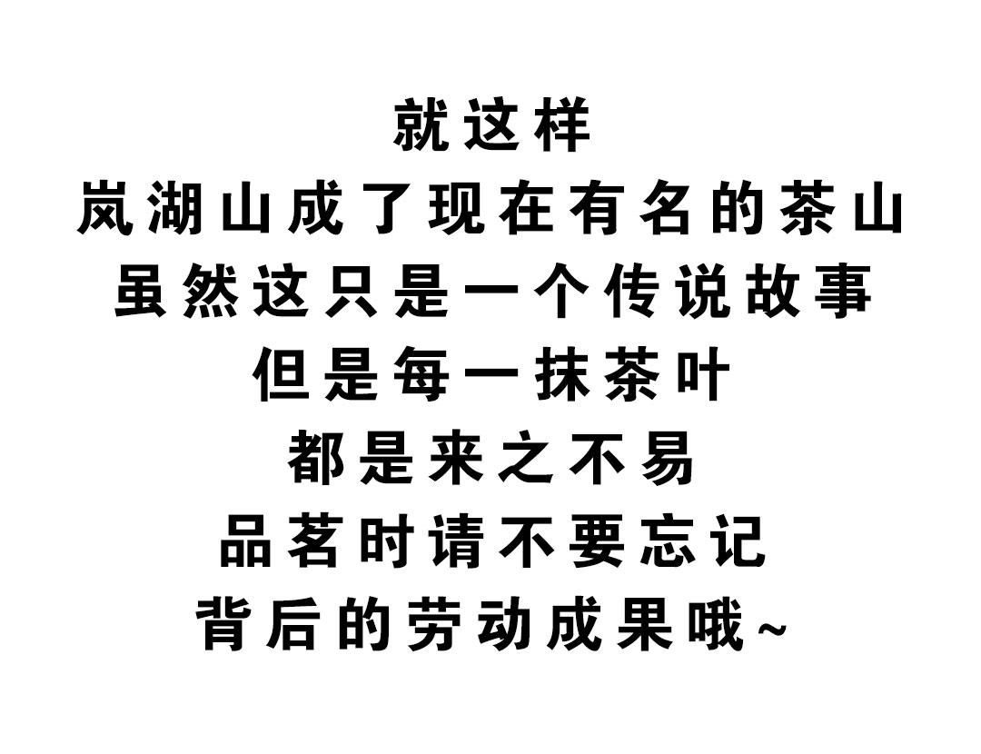 岚湖山茶传说25