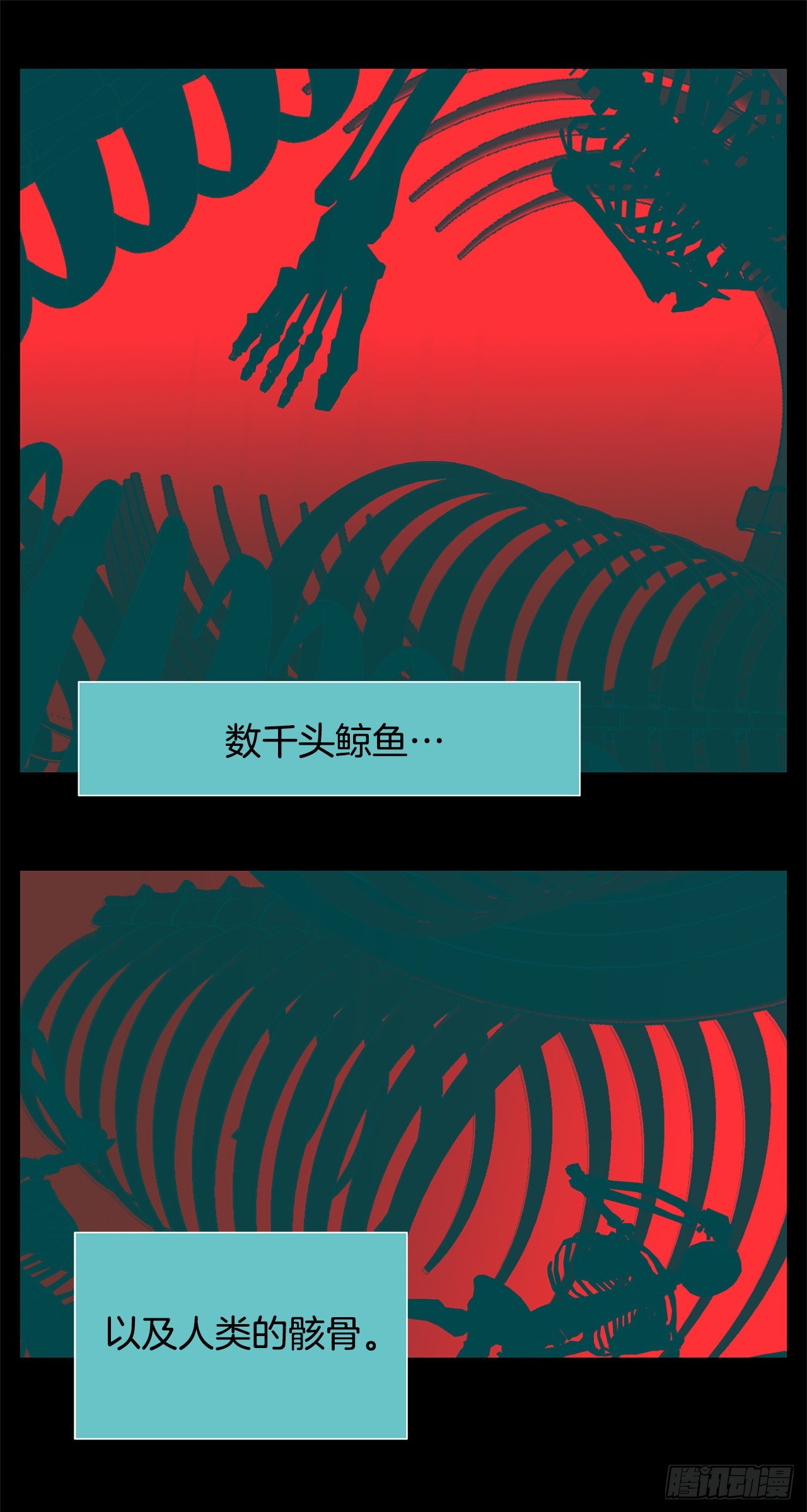 17.鲸人的由来47