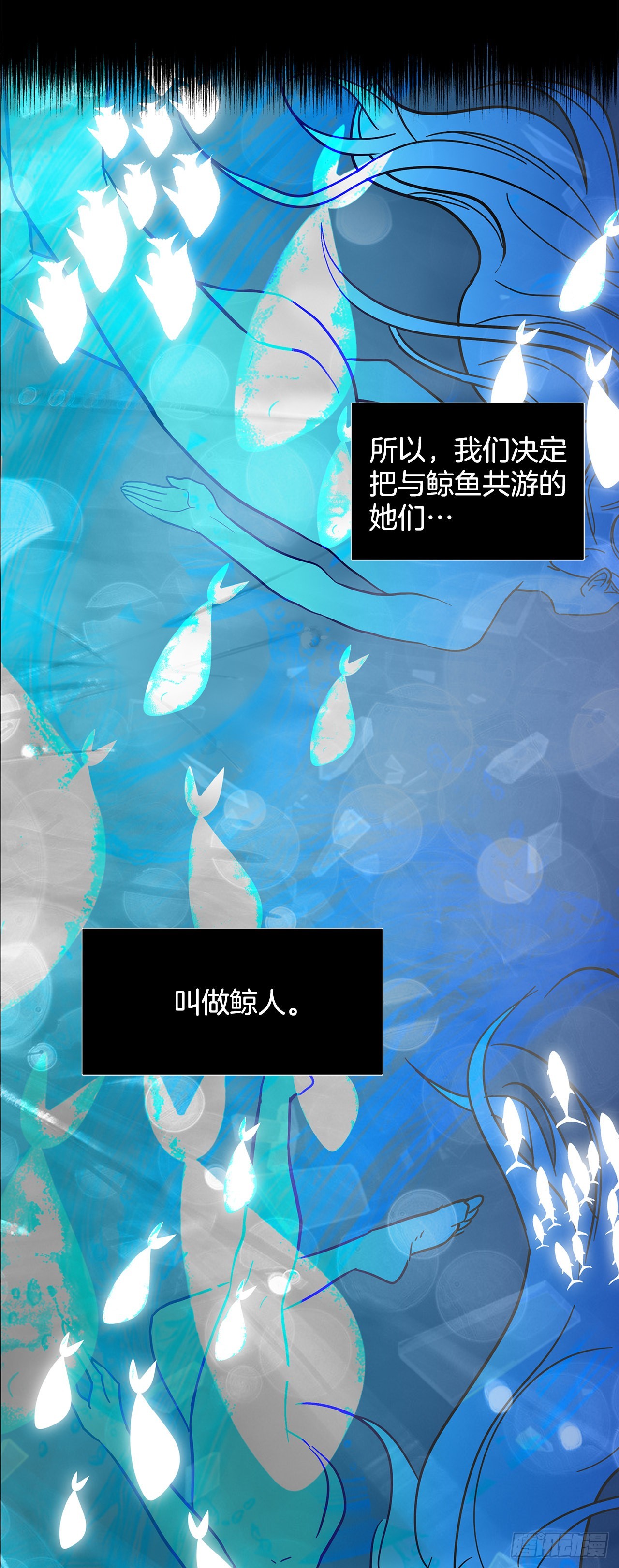 17.鲸人的由来56