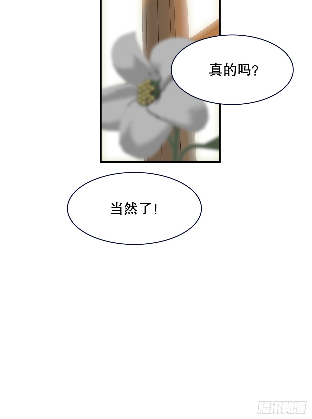 41.外婆去世15