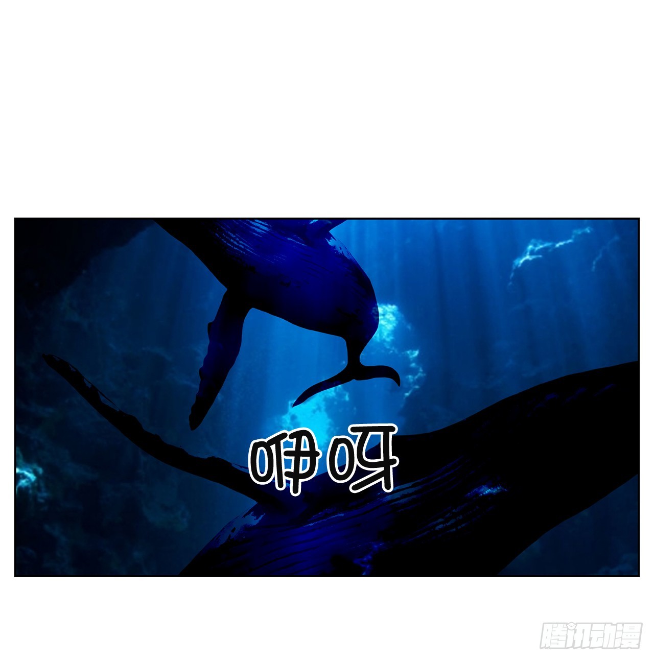 50.鲸鱼岛65
