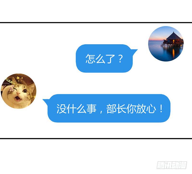 秘密筹划24