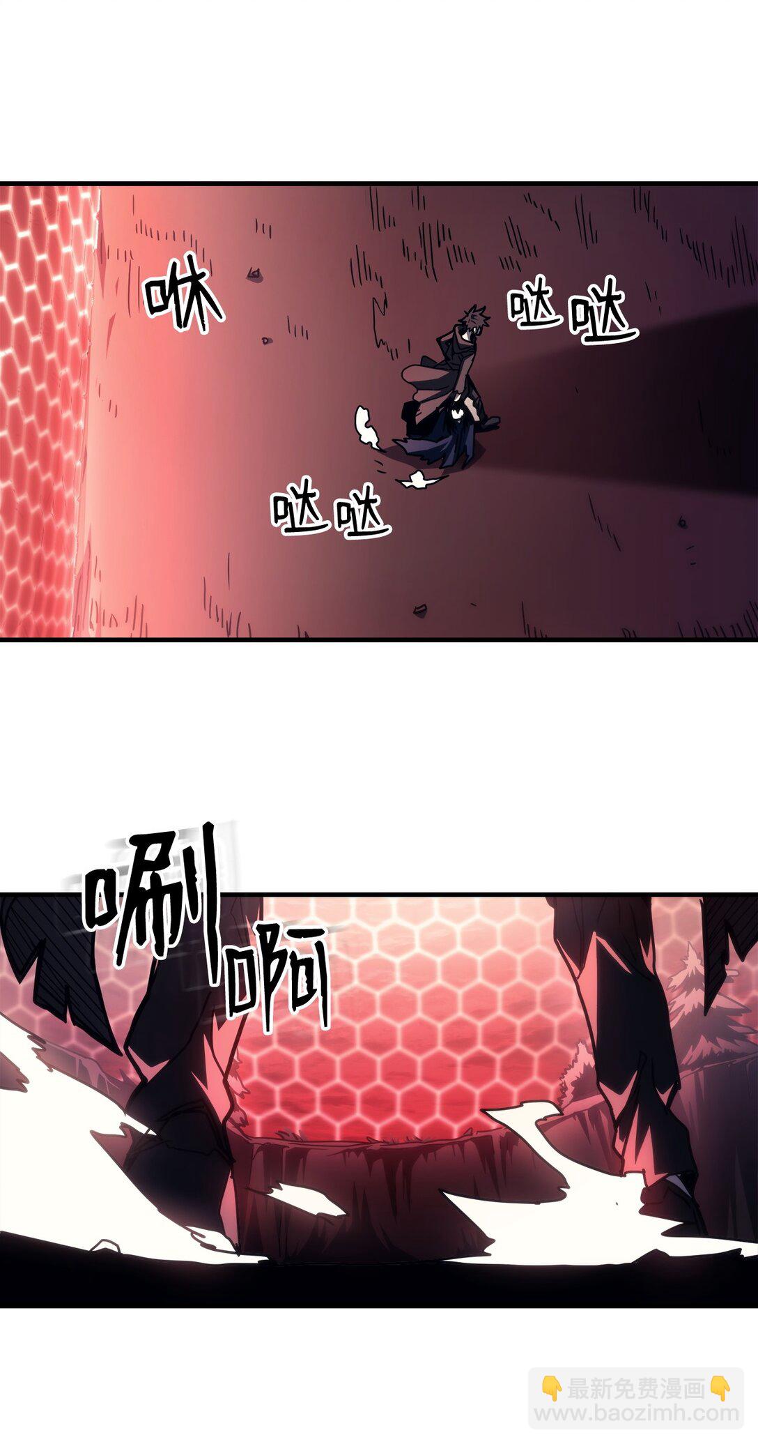 37 臭虫43