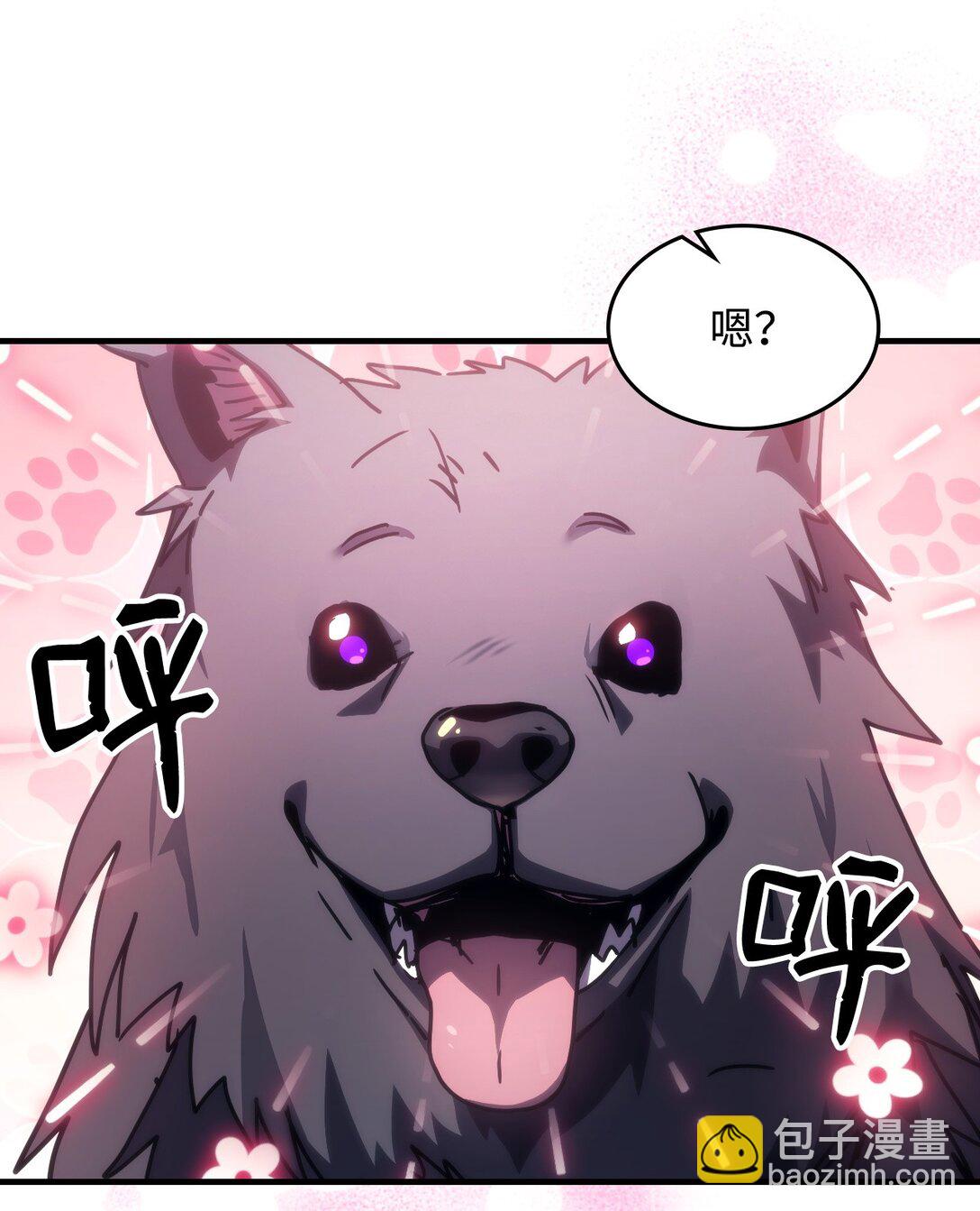 45 大狗56