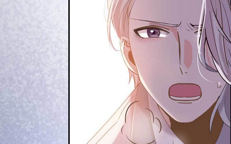 6- 再次求婚8