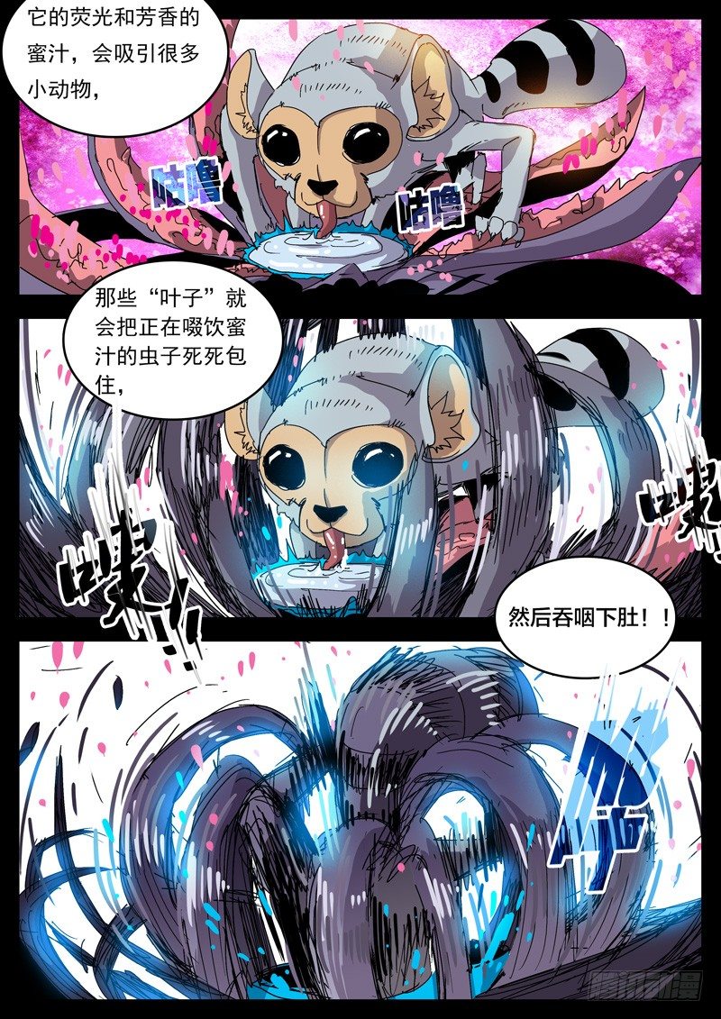 08蚀满樱花3