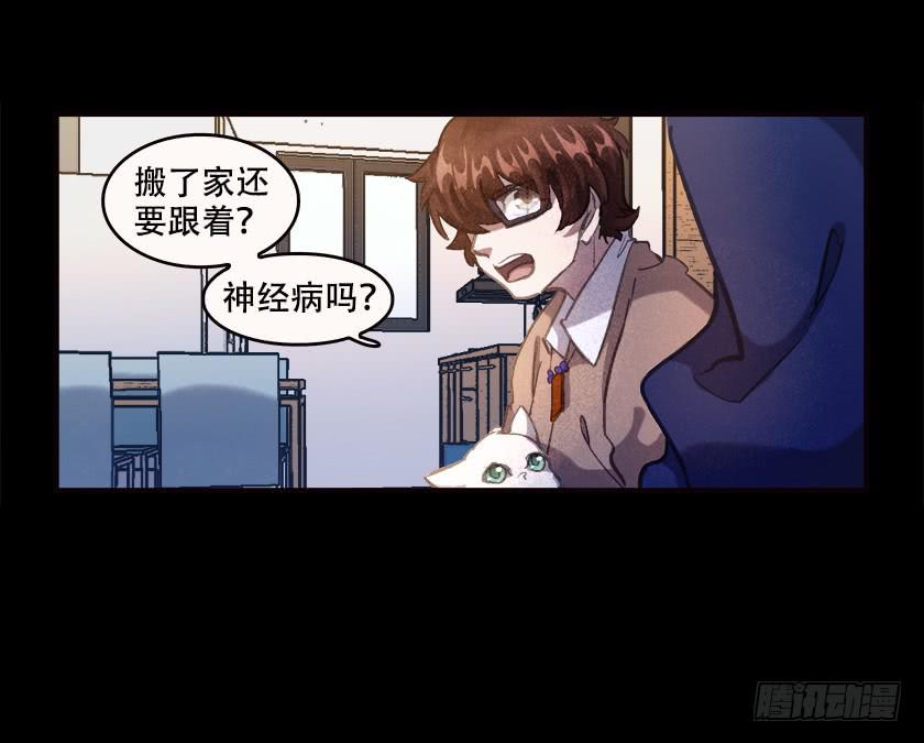 【031猫眼】11