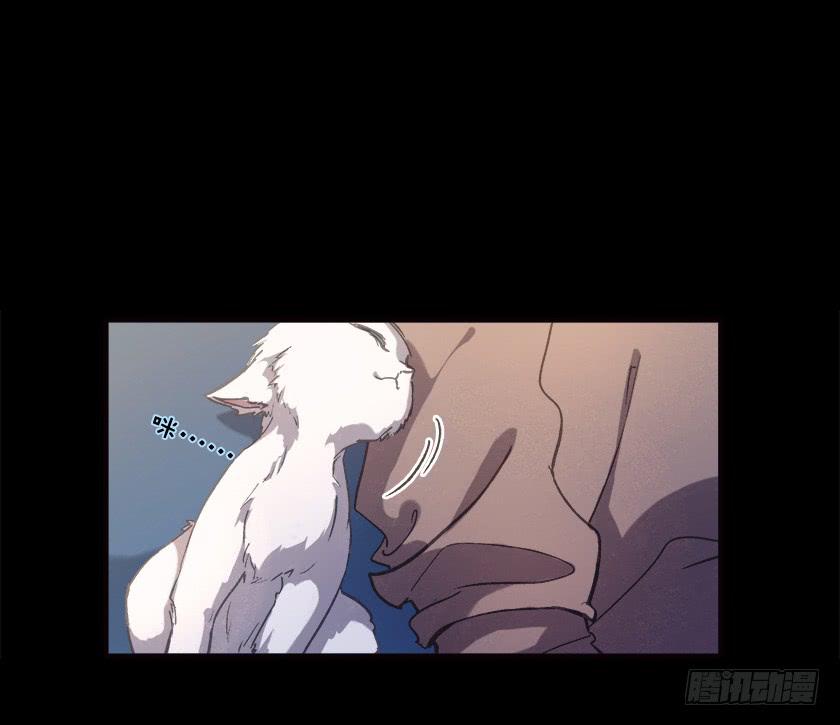 【031猫眼】2