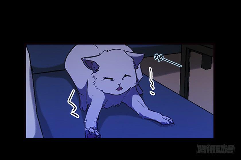 【031猫眼】20