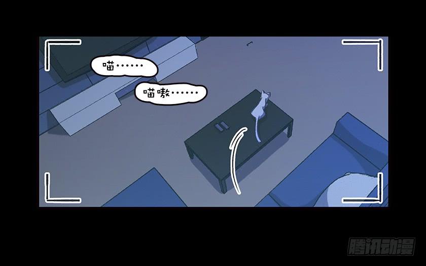 【031猫眼】21