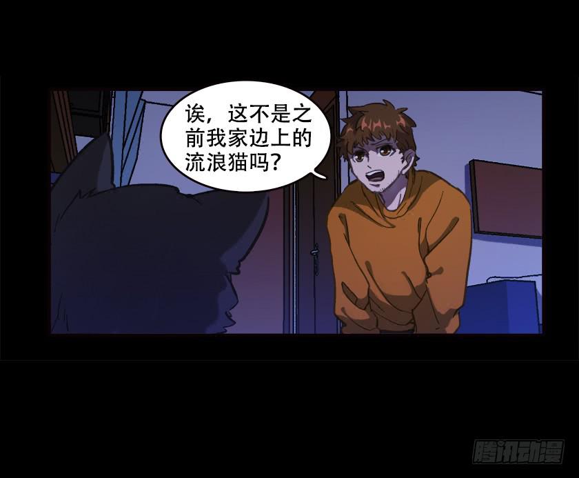 【031猫眼】38