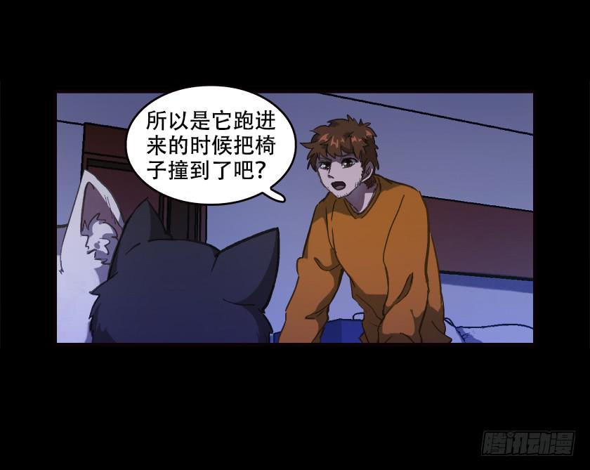 【031猫眼】41