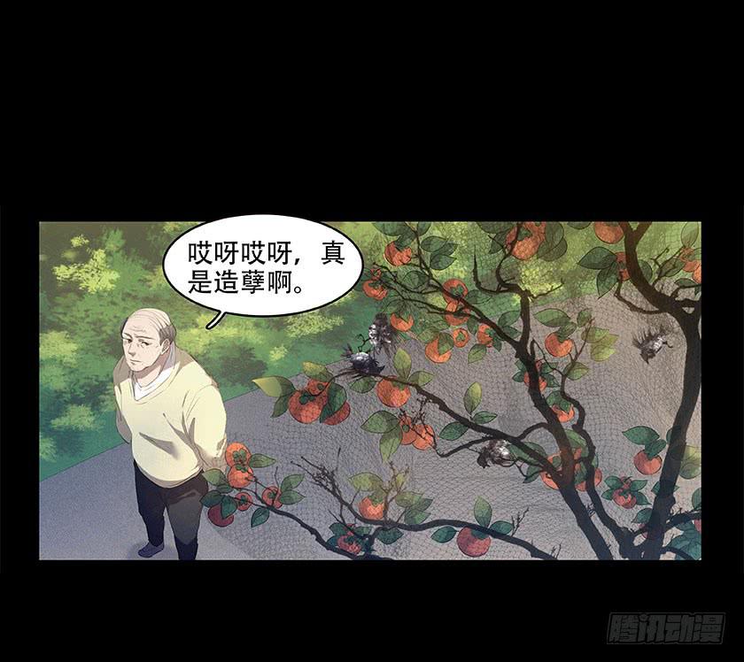 【番外014鸟尸】12